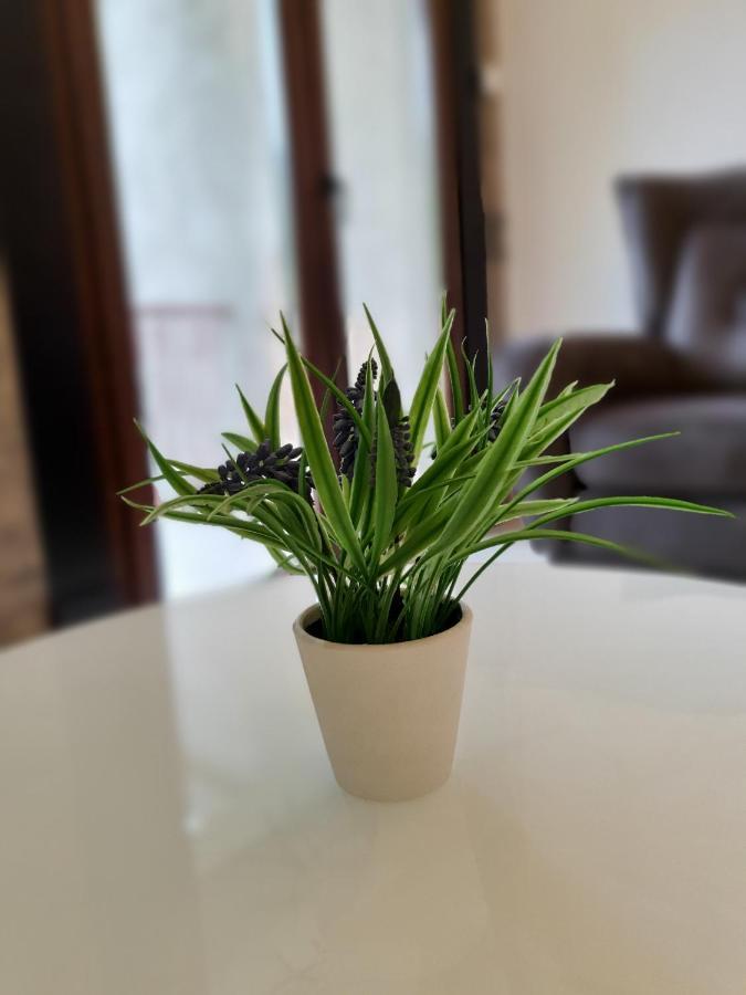 Clive Apartments Kotor Dış mekan fotoğraf